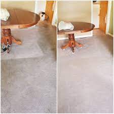 master clean carpet care