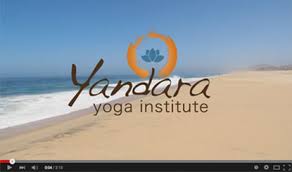 yandara yoga teacher training bali