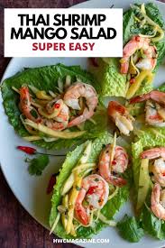 3 to 4 thinly sliced spring onions. Thai Shrimp Mango Salad Healthy World Cuisine