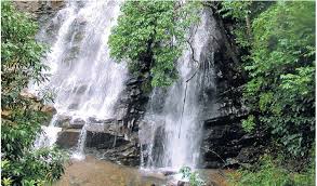 Agumbe (41 kms), sringeri temples (17 kms), kundadri (40 kms), kavishaila (51 kms) and horanadu (60 kms) are other places of interest to visit along with sirimane waterfalls. à²¸ à²¤ à²¤ à²£ à²¬à²¨ à²¨ Sutthona Banni Sirimane Falls Chikkamagaluru District