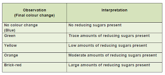 Food Test 2 Benedicts Test For Reducing Sugars Biology