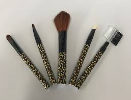 true color 5pc makeup kit brush set