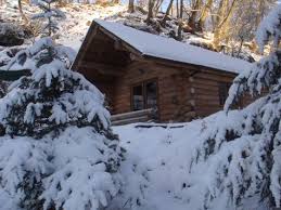 We are loking for a log cabin in the lake district which has a hot tub, and excepts dogs? A Log Cabin Hideaway Holiday In The Lake District Log Cabin Holidays Log Cabin Hot Tub Holidays