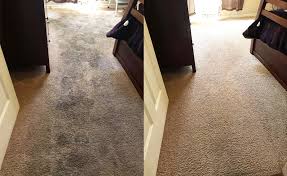 deep clean carpet cleaners