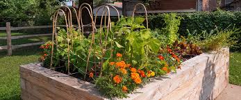 Build Your Raised Garden Beds Now