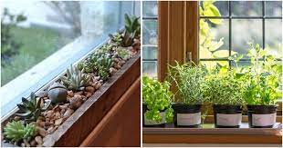 12 inspiring windowsill garden ideas