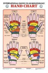Hand Reflexology Chart Prime Hand Reflexology Chart Hrcl L