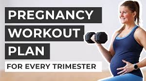 free pregnancy workout plans by