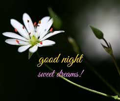 Good Night Images Download Good Night Images Hd Good Night Image