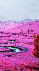 hd pink landscape wallpapers peakpx