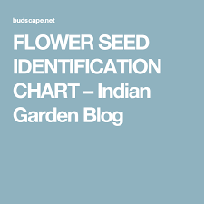 Flower Seed Identification Chart Indian Garden Blog