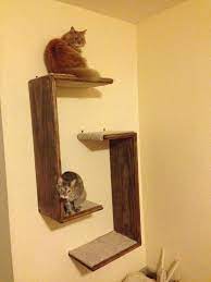 diy cat tree cat wall shelves cat tree