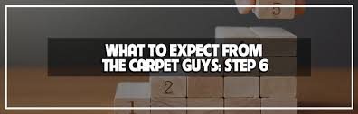 the carpet guys