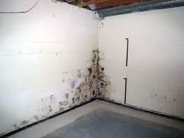 Basement Mold Removal Diy Or