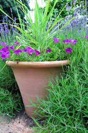 They don't require as much care as other plants and flowers do. The Best Plants For Amazingly Low Maintenance Garden Pots The Middle Sized Garden Gardening Blog
