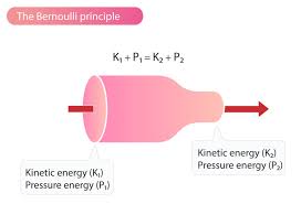 The Bernoulli Principle And Estimation