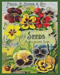 Antique Flower Garden Seed Catalog