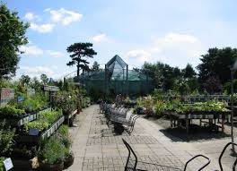 garden centres in bristol garden