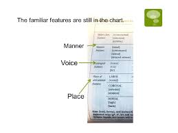 Phonological Features And Natural Classes So Remember