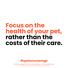 Check spelling or type a new query. Spot Pet Insurance By Getting Your Pets Health Insurance You Are Able To Focus On The Health Of Your Pet Rather Than How Much Their Care Will Cost You Get Your