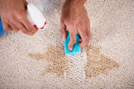 professional carpet spot removal techniques