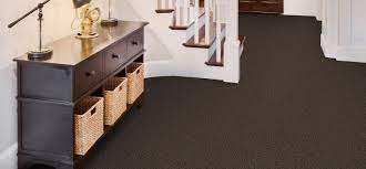 selecting beaulieu carpet for your pet