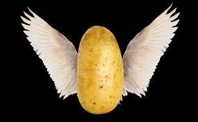 A potato flew around my room. A Potato Flies Around The Room Modern Farmer