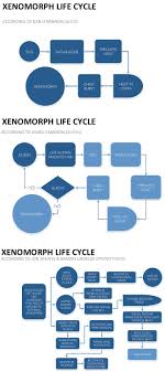 Spoilers Flow Chart Examination Xenomorph Life Cycles In