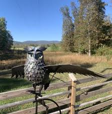 Giant Rocker Garden Stake Owl 84