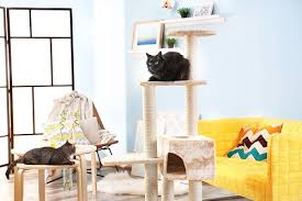 It goes without saying that bigger cats. Best Cat Tree Reviews Top 5 Cat Trees In Feb 2021