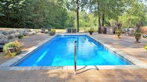 What Type Of Pool Is Best For Dogs