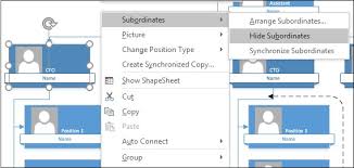 microsoft visio reporting structure views