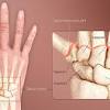 Related posts of human arm bone anatomy bone anatomy of upper extremity. 1