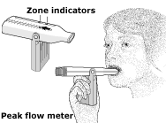 How To Use A Peak Flow Meter Cleveland Clinic