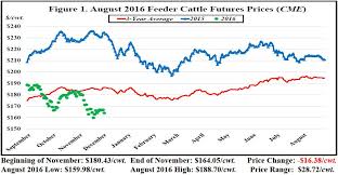November Florida Cattle Market Price Watch Growing Florida