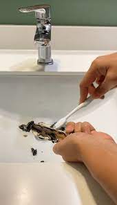 How To Unclog A Bathroom Sink Hana S