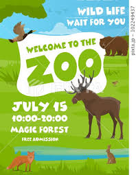 zoo flyer with forest s and birds