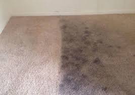 carpet cleaning method jlee s carpet