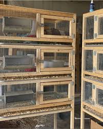 quail cage build made easy simply