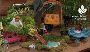 Terrariums And Fairy Gardens