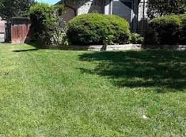 fitchburg ma lawn care mowing