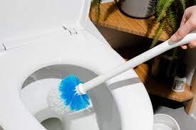 how to clean your toilet the new york