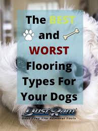 worst flooring types for dogs