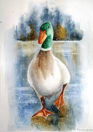 Duck Painting Original Watercolor