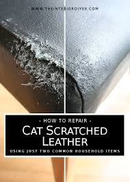 how to repair cat scratched leather