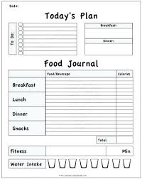 Food Journal Template For Weight Loss Tracking Spreadsheet Download