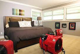 bed bug heat treatment rless