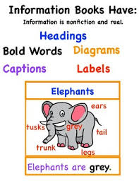 All About Books Anchor Charts Informational Writing Tc Writing Workshop