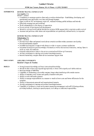 senior travel consultant resume sles