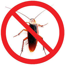 how to get rid of roaches yourself